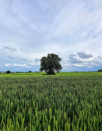 View of fields from hot tub